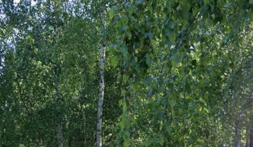 Działka budowlana Dziekanów Polski, ul. Stanisława Mikołajczyka