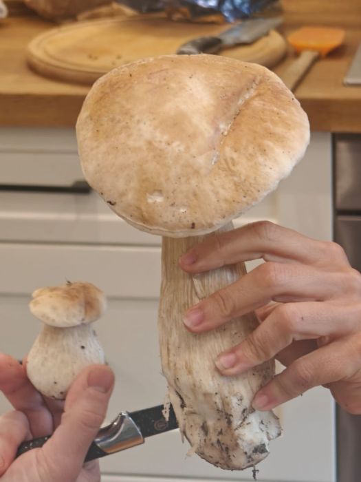 Działka budowlana Parchowo Karłowo. Zdjęcie 5