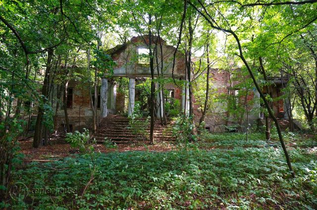 dworek Dąbrowica. Zdjęcie 2