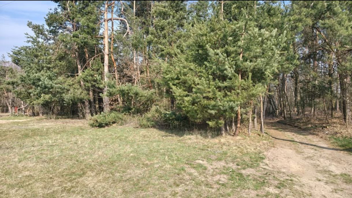 Działka siedliskowa Pogórska Wola. Zdjęcie 4