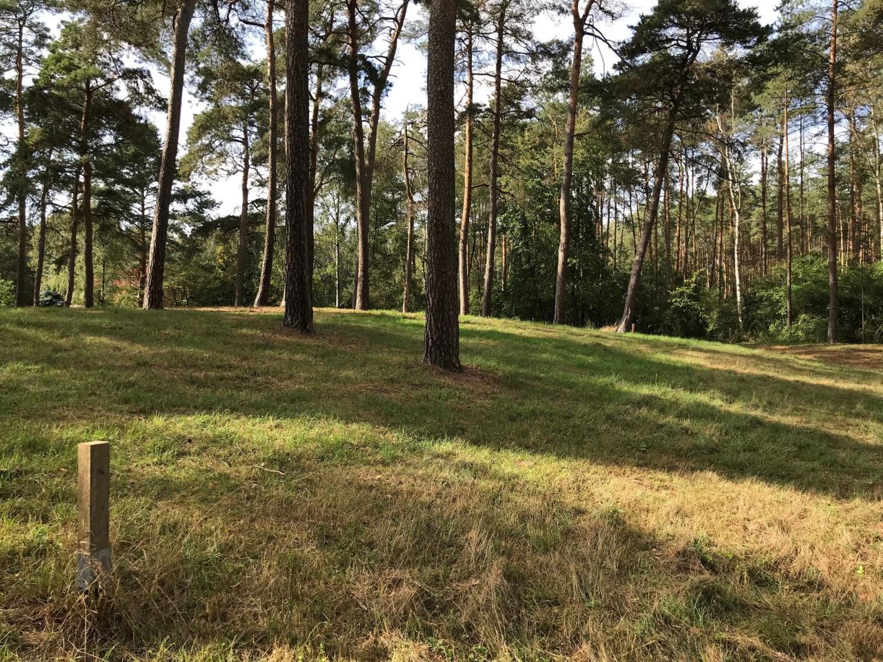 Działka budowlana Niemieczkowo. Zdjęcie 7