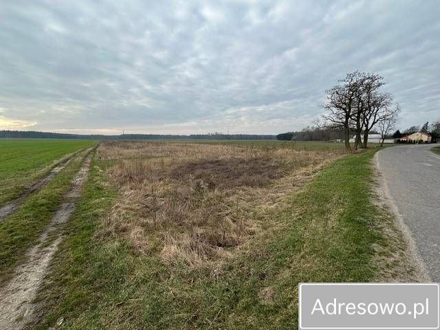 Działka rolna Osiek. Zdjęcie 3