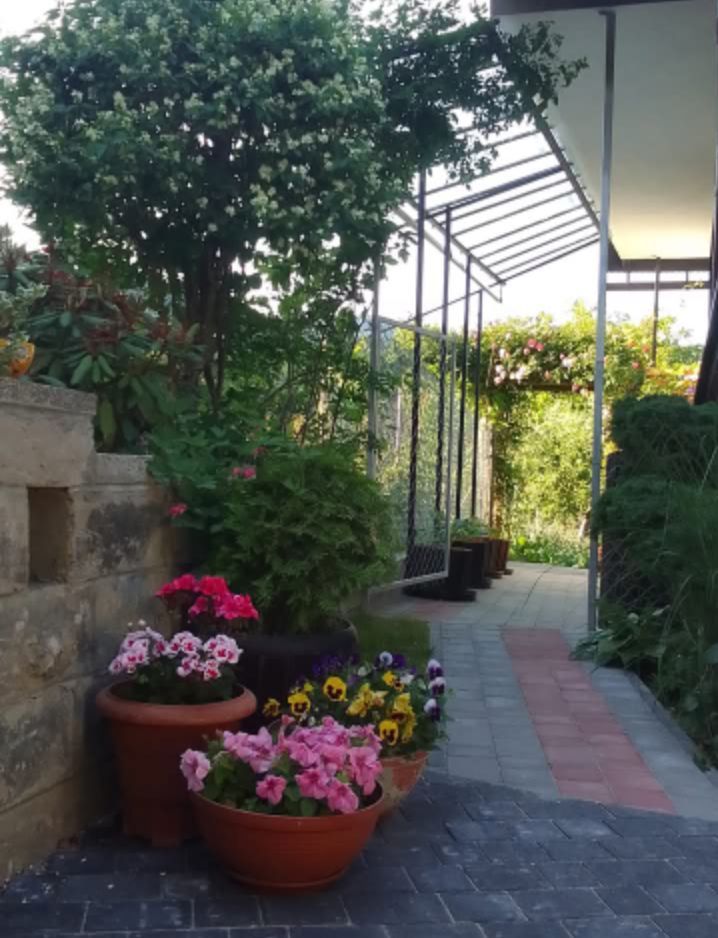 dom wolnostojący, 8 pokoi Piwniczna-Zdrój Koszarzyska, Sucha Dolina. Zdjęcie 15