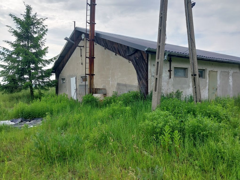 Hala/magazyn Brzeziczki. Zdjęcie 6