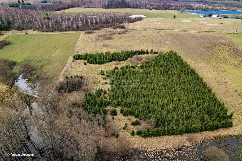 Działka budowlana Boguszewo. Zdjęcie 6