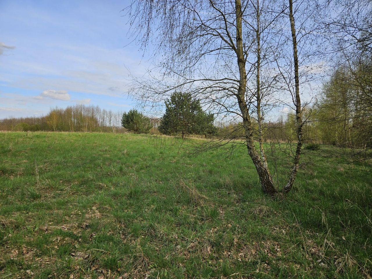 Działka rolna Marianowo, ul. Tymiankowa. Zdjęcie 12