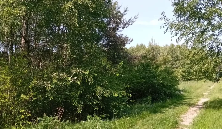 Działka rolna Łódź Widzew, ul. Bakaliowa