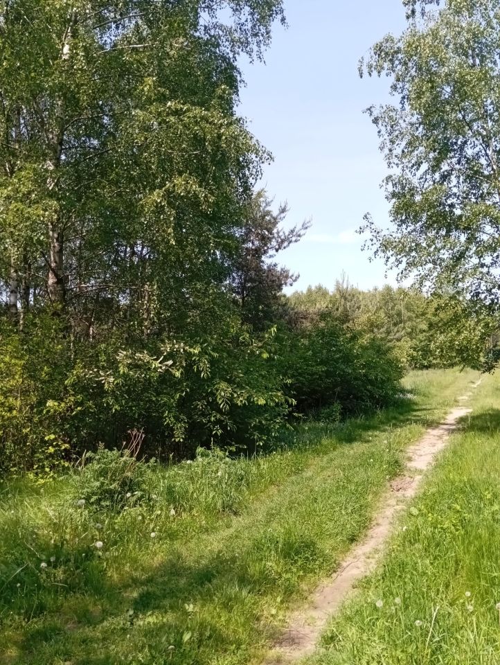 Działka rolna Łódź Widzew, ul. Bakaliowa