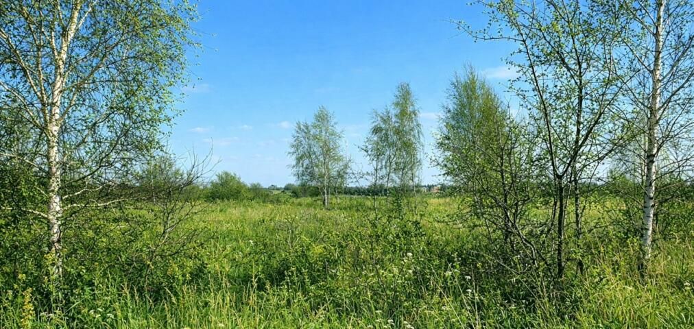 Działka budowlana Stary Borek, Spacerowa. Zdjęcie 8