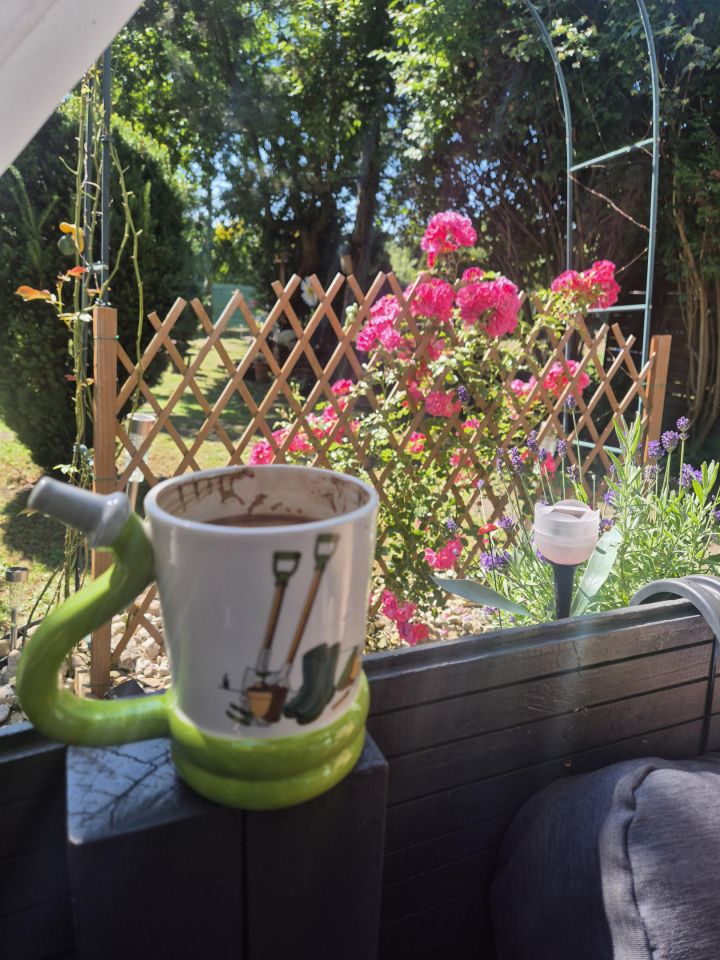 Działka rod Częstochowa Dźbów, Gronowa. Zdjęcie 9