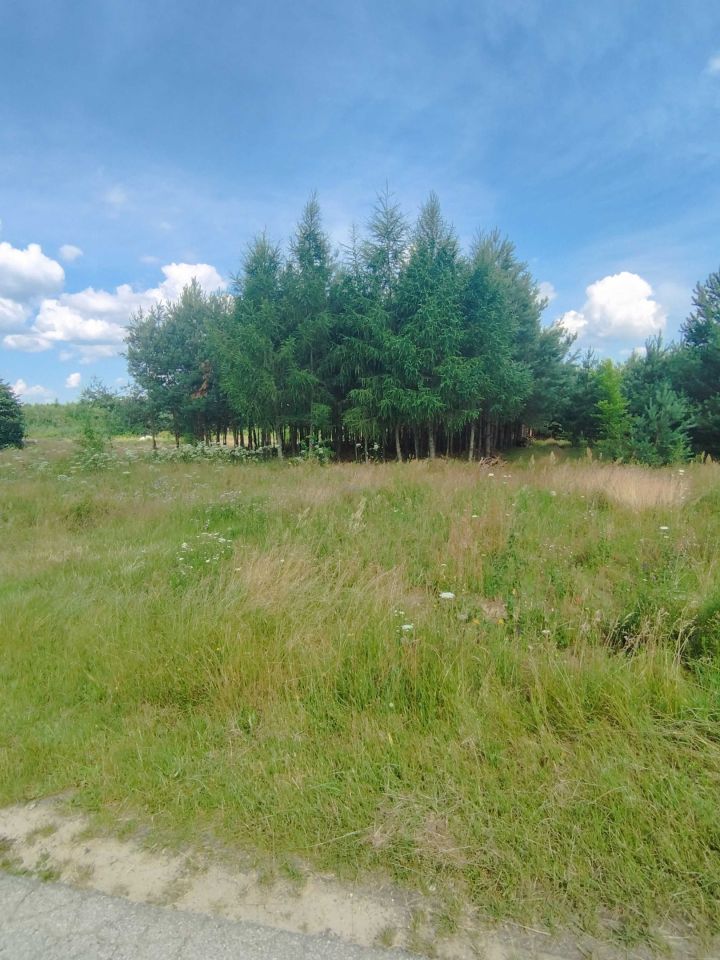 Działka budowlana Rakówka. Zdjęcie 5