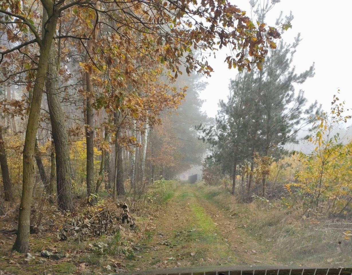 Działka inna Zielkowice Czajki, ul. Poligonowa. Zdjęcie 2