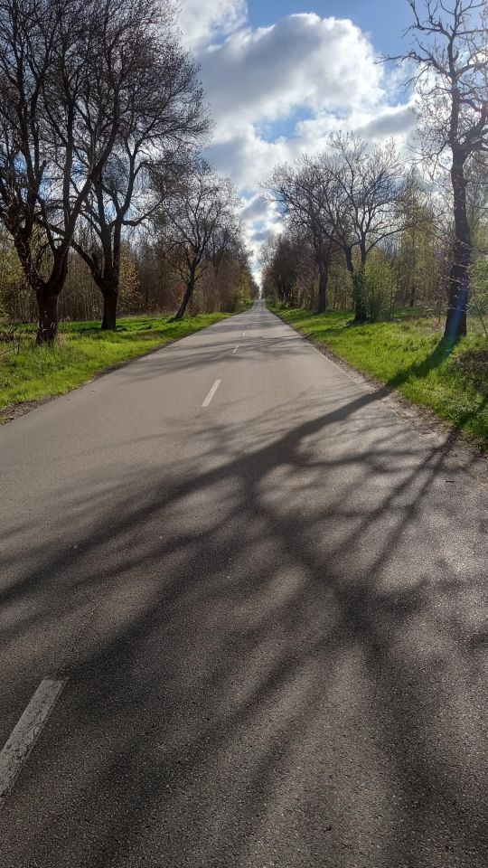 Działka budowlana Lipicze, ul. Gidelska. Zdjęcie 2