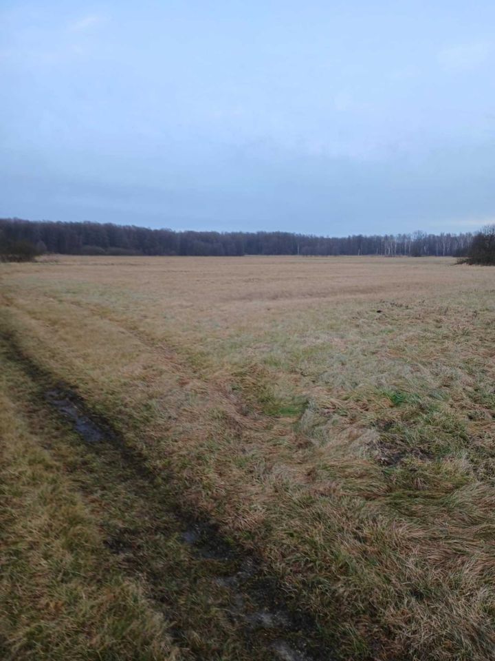 Działka rolna Słupia. Zdjęcie 6