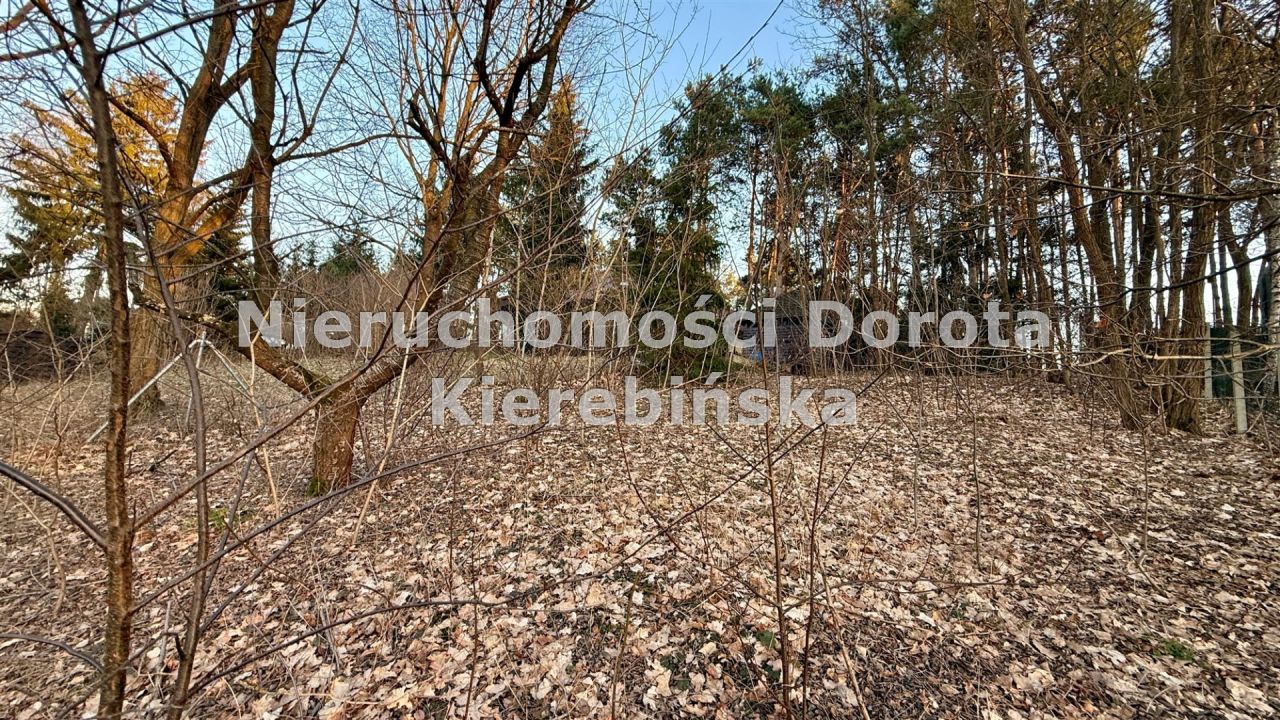 dom wolnostojący, 3 pokoje Inowłódz. Zdjęcie 16