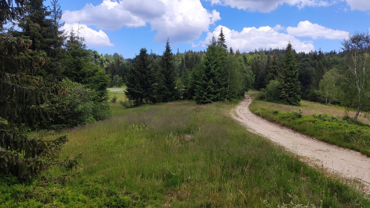 Działka inna Łopuszna. Zdjęcie 4