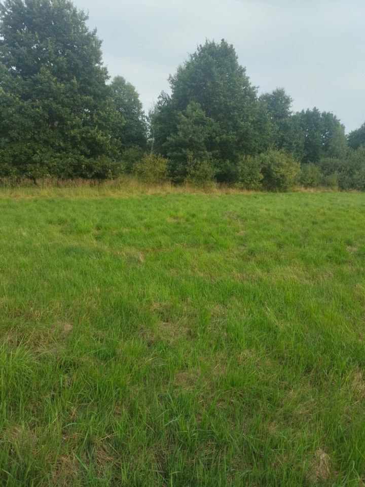 Działka rolno-budowlana Jaśkowice. Zdjęcie 4