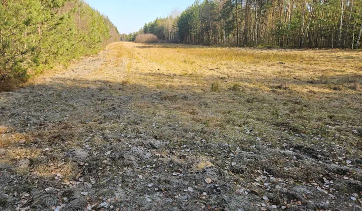 Działka rolna Jeżów