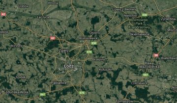 Działka leśna Nowe Skoszewy