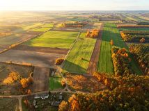 Działka budowlana Grzybów. Zdjęcie 3