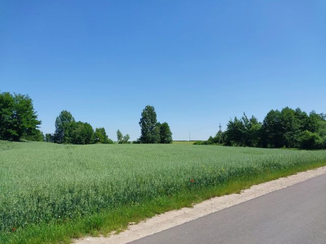 Działka rekreacyjna Ługowiska. Zdjęcie 1