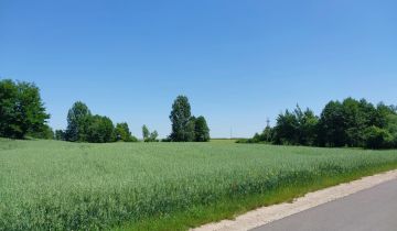Działka rekreacyjna Ługowiska
