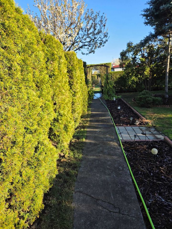 Działka rod Grudziądz. Zdjęcie 3