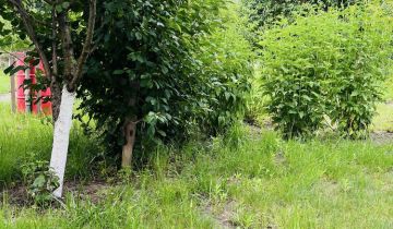 Działka rod Wrocław Psie Pole, ul. Toruńska