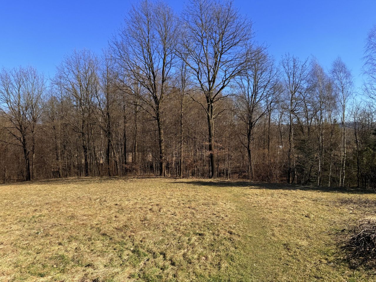 Działka rolno-budowlana Barwałd Średni. Zdjęcie 2