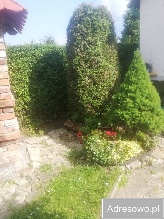 Działka rod Łaziska Górne. Zdjęcie 9