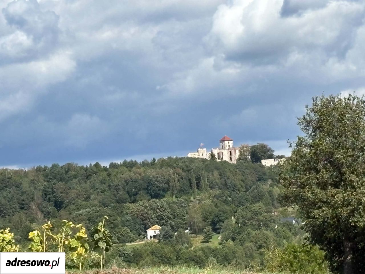 Działka budowlana Grojec, ul. Pańska. Zdjęcie 13
