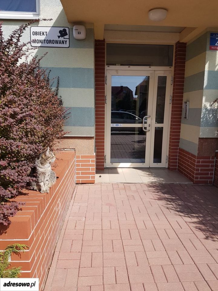 Mieszkanie 2-pokojowe Wrocław Fabryczna, ul. Drohobycka. Zdjęcie 16