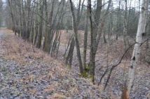 Działka rekreacyjna Wola Buczkowska. Zdjęcie 1