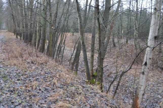 Działka rekreacyjna Wola Buczkowska. Zdjęcie 2