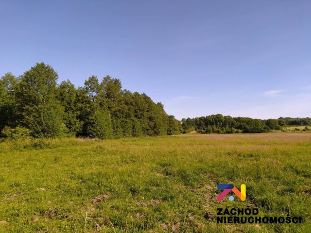 Działka siedliskowa Droszków. Zdjęcie 1