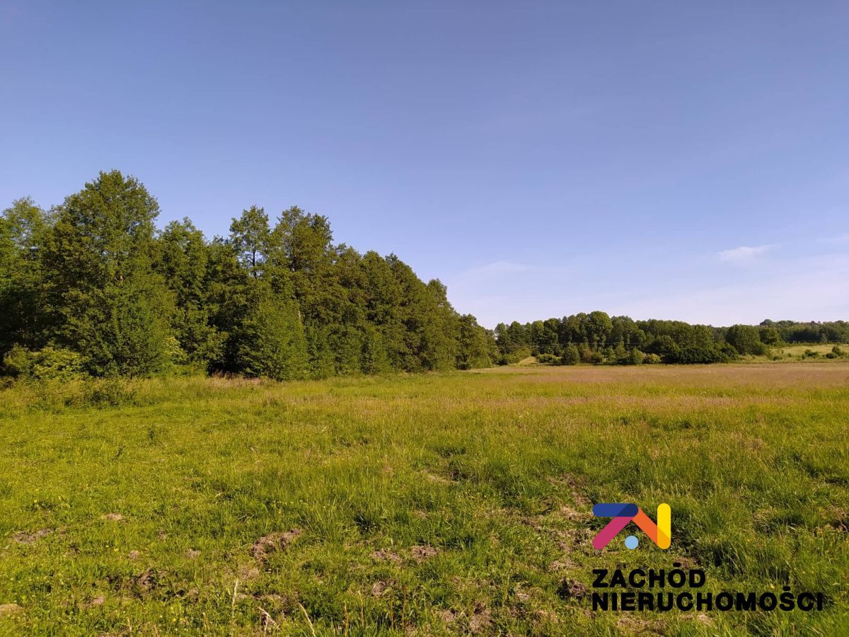 Działka siedliskowa Droszków