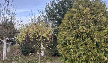 Działka rod Gniezno Winiary