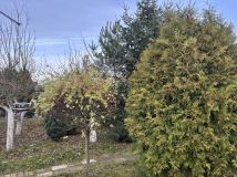 Działka rod Gniezno Winiary. Zdjęcie 1