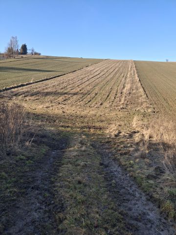 Działka budowlana Kozierów, ul. Lipowa. Zdjęcie 6