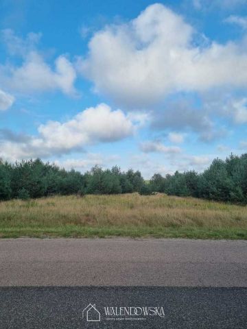 Działka Smołdzino. Zdjęcie 5