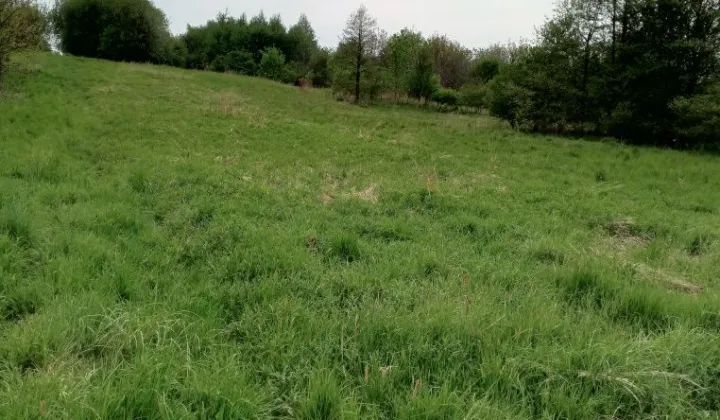 Działka rolna Malawa