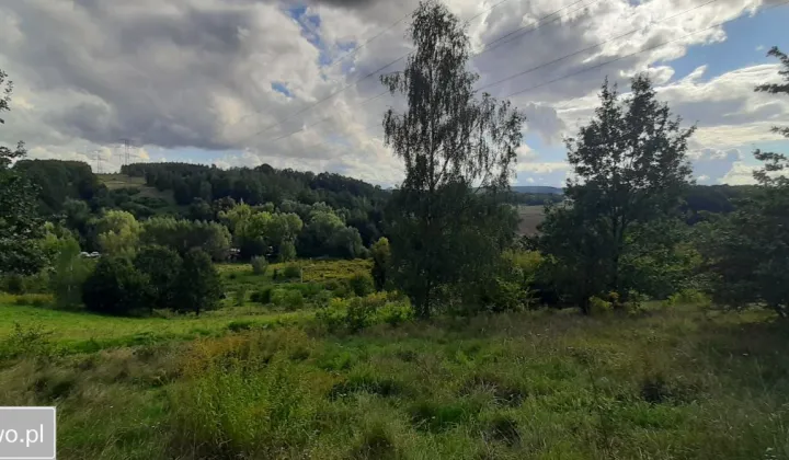 Działka budowlana Lwówek Śląski, ul. Jastrzębia