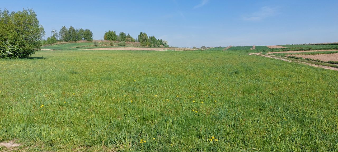 Działka rekreacyjna Mników Dziady. Zdjęcie 2