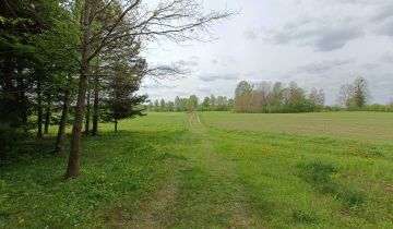 gospodarstwo Kierwiny