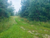 Działka rekreacyjna Trelkowo. Zdjęcie 1