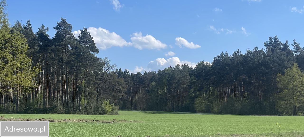 Działka budowlana Jagodziniec. Zdjęcie 2