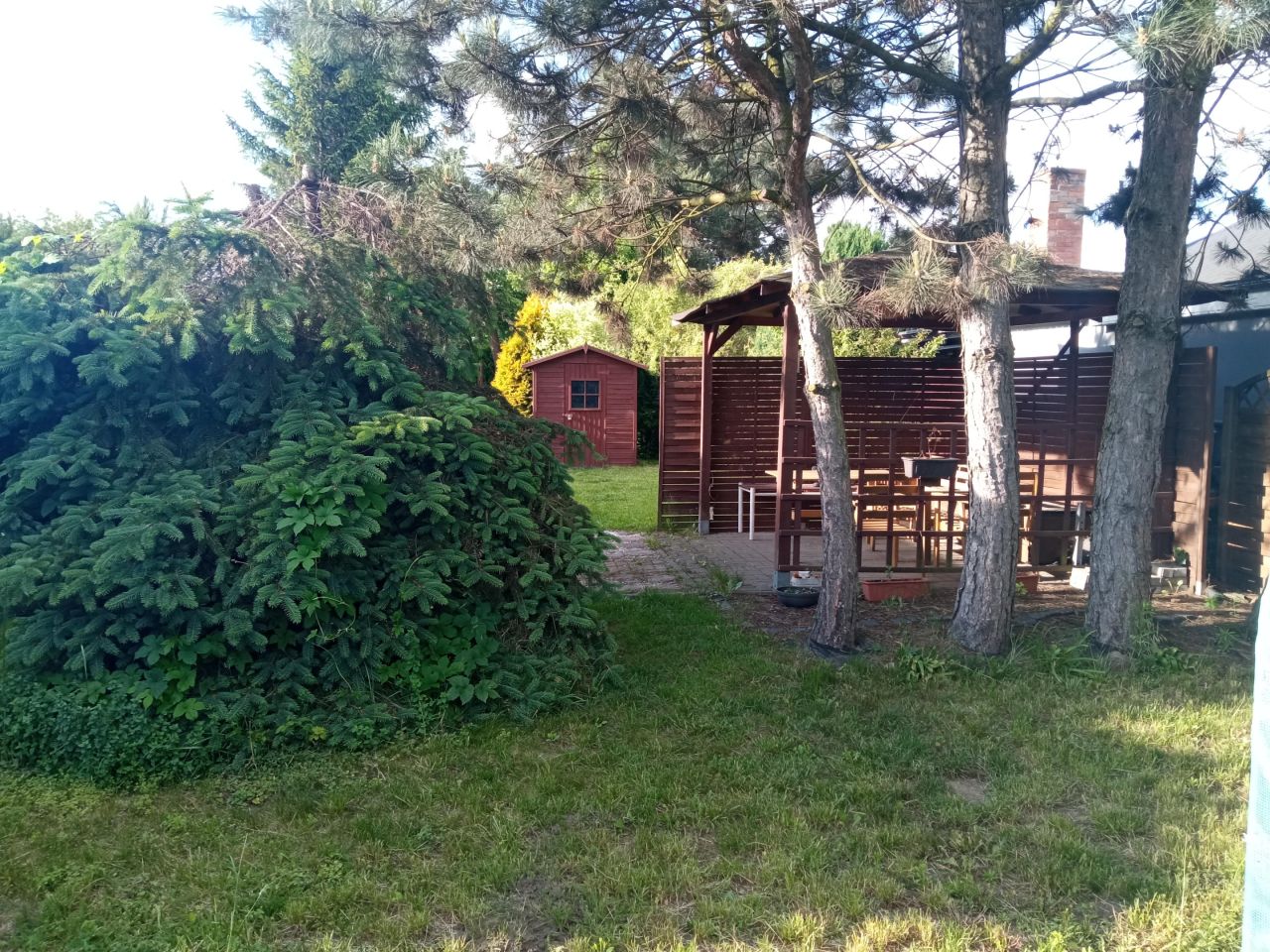 Działka rod Luboń Żabikowo, ul. 3 Maja. Zdjęcie 7