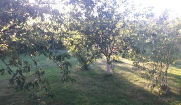 Działka rekreacyjna Ziemnice, Koskowicka