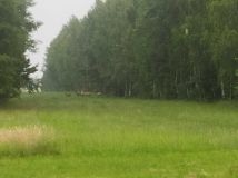 Działka budowlana Policzna. Zdjęcie 1