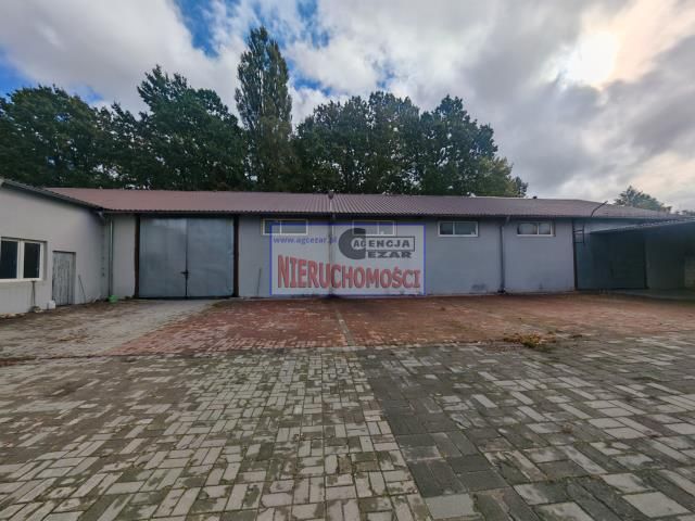 Hala/magazyn Mińsk Mazowiecki Nowe Miasto. Zdjęcie 5